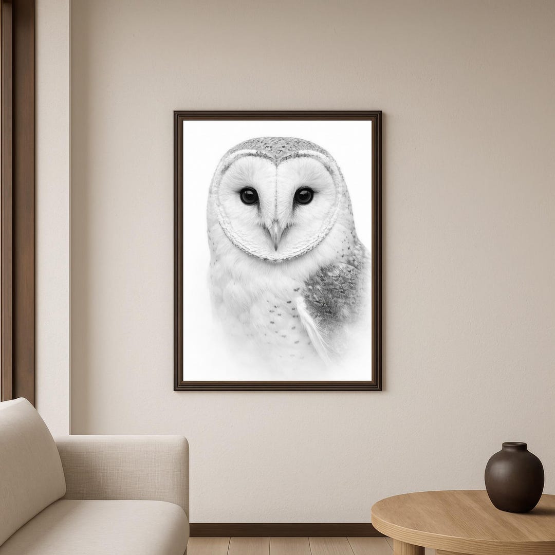 Barn Owl Wall Art Print, White Owl Portrait Artwork, Minimalist Bird ...