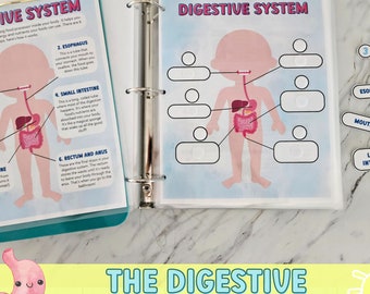 Digestive System Busy Book, Human Body Kids, Anatomy Learning Printable (Worksheets)