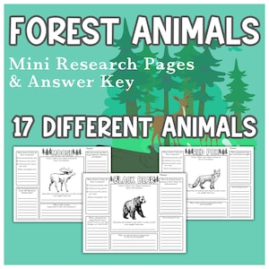 Forest Animals Habitat Research Studies Science School Resources Anatomy Preschool Curriculum Learning Homeschooling Activities Study Print