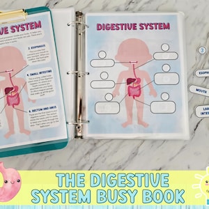 Digestive System Busy Book Human Anatomy Worksheets Science School Resources Anatomy Elementary Curriculum Learning Homeschool Activities
