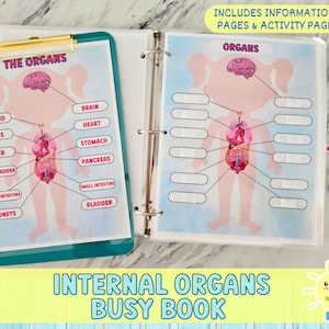 Human Organs Busy Book Bone Anatomy for Kids Science School Resources Anatomy Preschool Curriculum Learning Homeschooling Activities Art