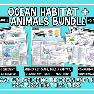 Op de afbeelding: Een educatief pakket van 80 pagina's genaamd Ocean Habitat + Animals Bundle met werkbladen, woordenschat, spelletjes en Venn-diagrammen. De pagina's bevatten zwart-witillustraties van zeedieren zoals haaien, schildpadden en octopussen.