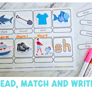 Op de afbeelding: Een printbaar werkblad voor kinderen om het geluid 'sh' te leren. Het werkblad bevat afbeeldingen van een haai, een schop, een shirt, een schip, schoenen en een vis. De woorden 'shop', 'fish', 'shoes' en 'ship' staan op aparte kaartjes. Het werkblad bevat ook de woorden 'shark', 'shovel' en 'shirt' die onder de afbeeldingen staan. De woorden 'Shark', 'Shovel' en 'Shirt' staan onder de afbeeldingen. De lettercombinatie 'sh' staat in een apart vak.