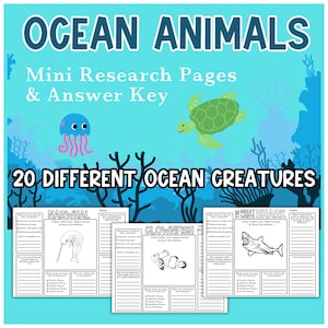 Ocean Animals Habitat Research Studies Science School Resources Creatures Preschool Curriculum Learning Homeschooling Activities Study Print