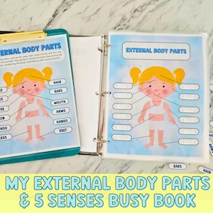 5 Senses, Human Body Anatomy Busy Book Science School Resources Anatomy Preschool Elementary Science Curriculum Learning Homeschool Activity