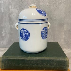 Vintage Chinese Ceramic Ginger Jar