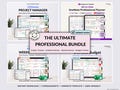 Professional Planner Bundle Project Management Excel Template Task Tracker Google Sheets Work OneNote Planner Weekly Planner Budget Tracker