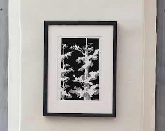 Black & White Print: Tree Canopy