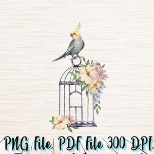 Puede incluir: Una ilustración de acuarela de un cacatúa gris y amarillo posado en una jaula de pájaros de metal negro con flores rosas y amarillas. El fondo es una veta de madera clara.
