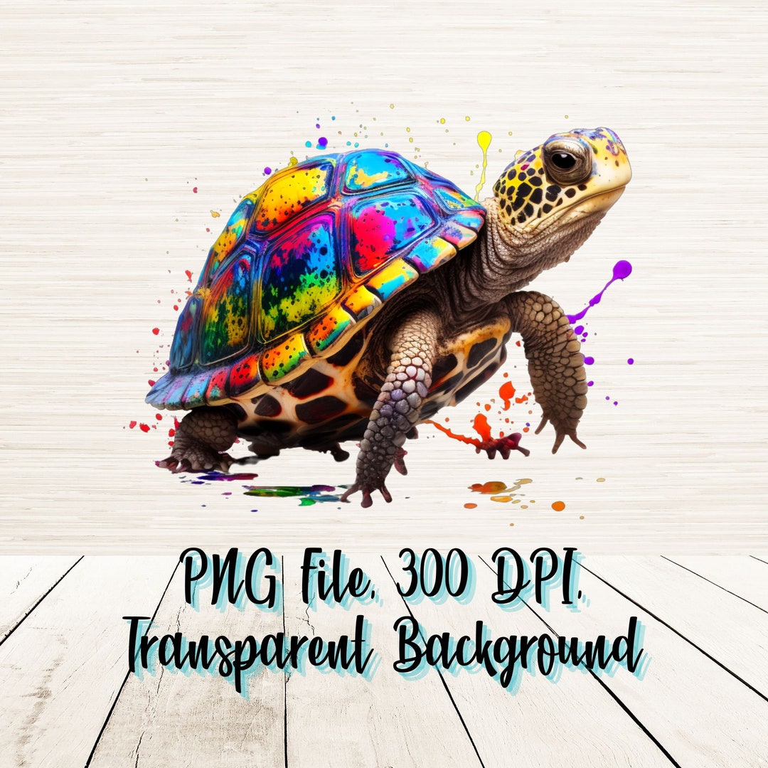 Turtlebox Colorful Cute Rainbow Box Turtle PNG | Digital Download | Souvenir Tshirt ...