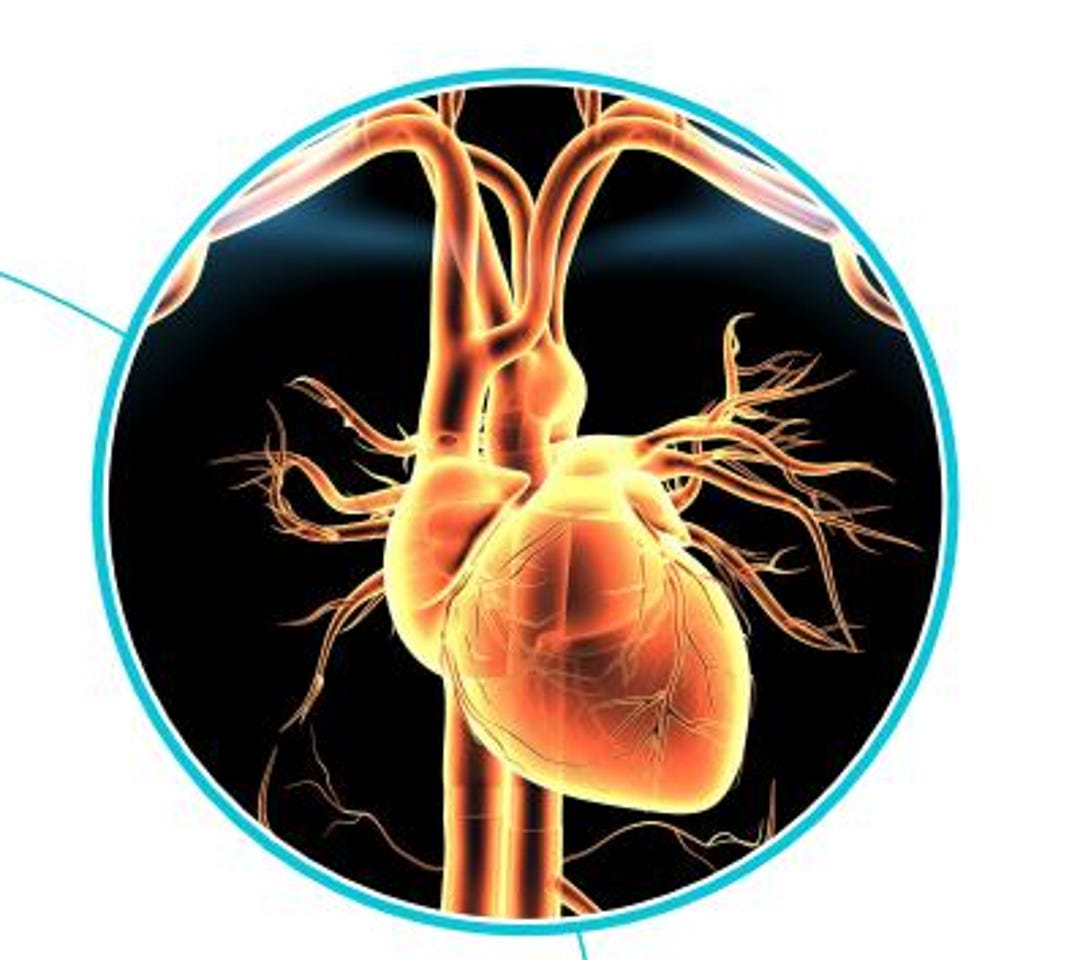 NONSURGICAL PROCEDURES FOR ATRIAL FIBRILLATION visual data 2