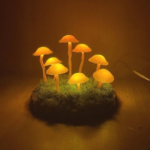 Champignon lumineux, Veilleuse champignon, Décoration de bureau naturelle, Ornements, Décoration, Lampe de chevet, Veilleuse d'Halloween de bureau