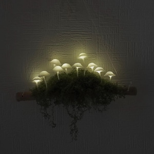 May include: A wall-mounted decorative piece featuring a cluster of white mushroom-shaped lights, illuminated and arranged on a bed of green moss.