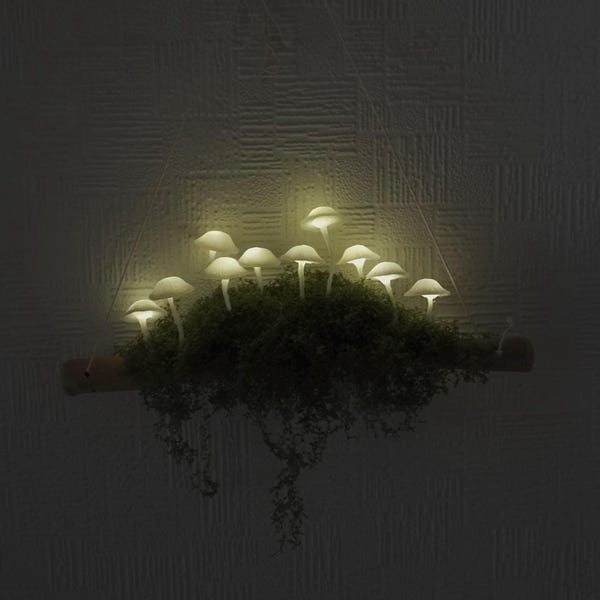 Glowing Mushroom drift wood wall hanging decoration
