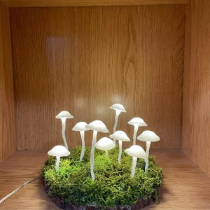 May include: A collection of white mushroom-shaped lights are arranged on a wooden base covered in green moss. The lights are illuminated, creating a whimsical and enchanting scene.