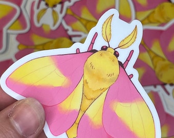 Rosy Maple Moth Sticker | Waterproof Vinyl Sticker