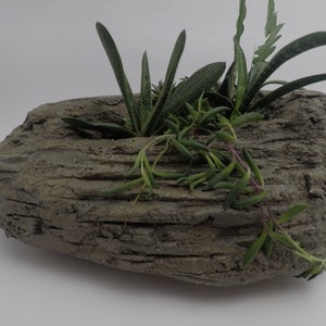 maceta suculenta de interior de peso ligero b1