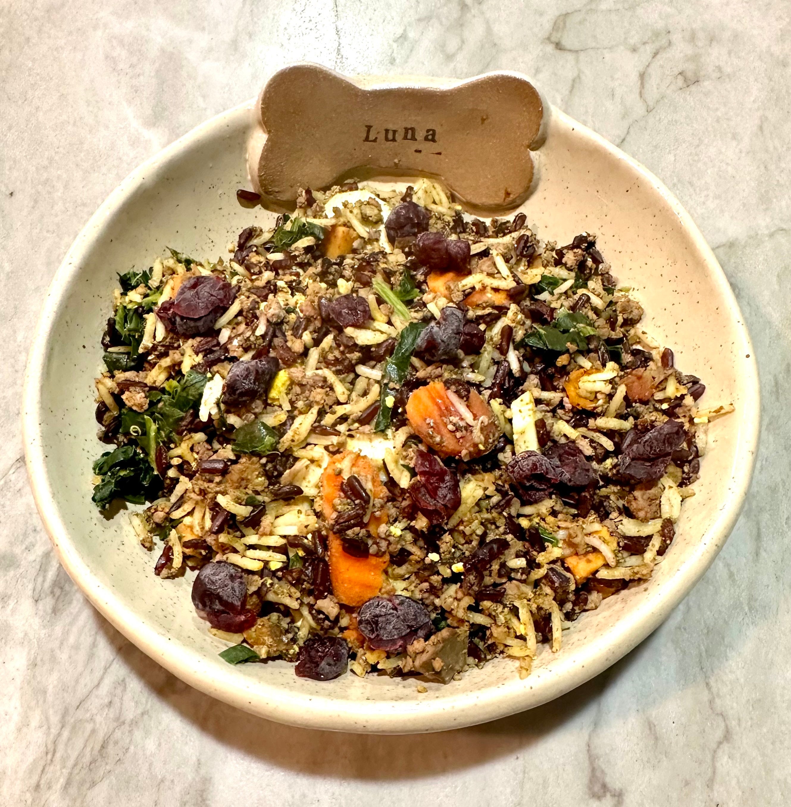 Turkey Dinner, Unprocessed Dog Food, Healthy Dog Food, Real Food for