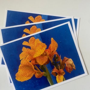 Blaue und gelbe Postkarte