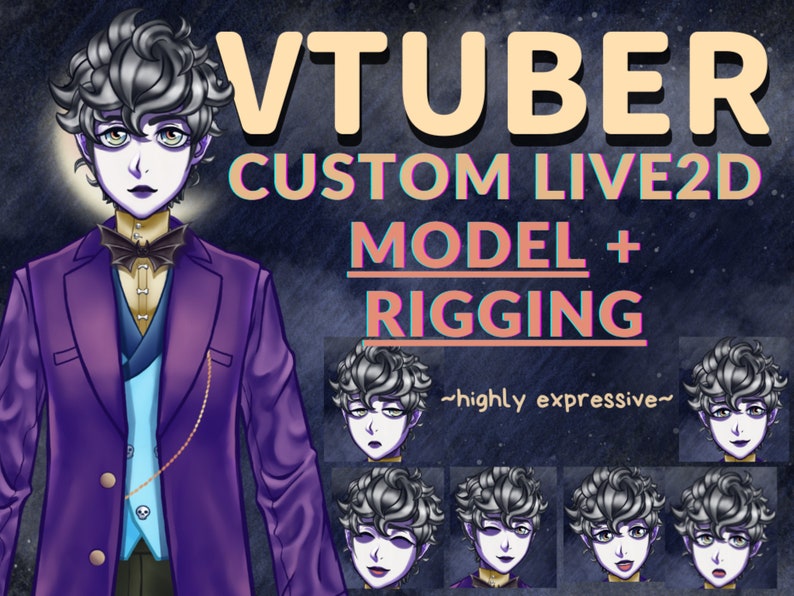 Pushed Expression Rigging Custom LIVE2D Vtuber Model / Vtuber Commission / Vtuber Design ...