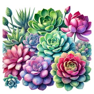 Sukkulenten Pflanzen png, 2 Bundle Sukkulenten Pflanzen, Sublimation, Clipart, Aufkleber Designs - Download digitale Datei-KEIN PHYSISCHES PRODUKT