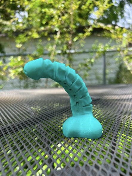 Large Articulated Penis 3D Print, NSFW Funny Weiner Balls Fidget Toy, Flexible Dick Decor, Gag Gift, Bachelorette Party Favors