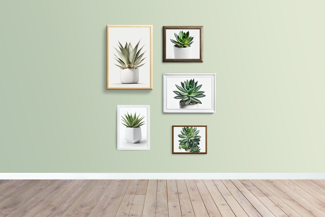5 Piece Potted Succulent Plants Print Set, Aloe Vera & Agave Wall Art ...