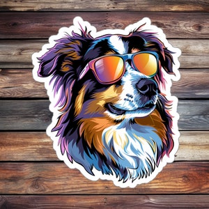 Peut inclure: Une illustration colorée d'un chien de berger australien portant des lunettes de soleil. Le chien a un pelage noir, brun et blanc et regarde vers la droite. L'arrière-plan est un motif de grain de bois.
