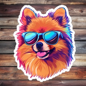 Super Cool Pomeranian Sticker (Dog Sticker, Animal Sticker, Water Bottle Sticker, Journal Sticker, Laptop Sticker, Custom Sticker)