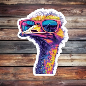 Super Cool Ostrich Sticker (Animal Sticker, Water Bottle Sticker, Journal Sticker, Laptop Sticker, Custom Sticker)