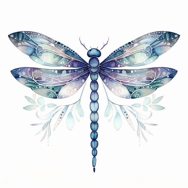 12 High Quality Dragonfly Clipart Collection Digital - Etsy