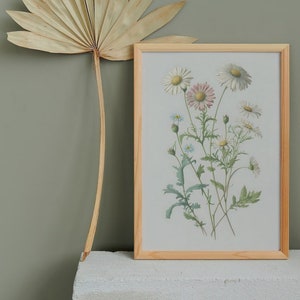 Dainty Vintage Flowers ~ Daisy Watercolor Print ~ Nursery Decor ~ Cottage Wall Art ~ Printable Download