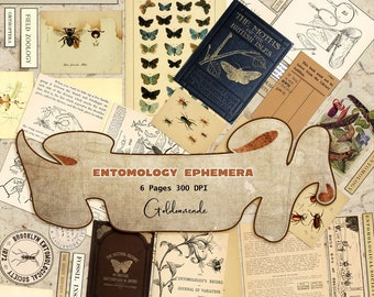 Entomology Ephemera: Vintage Insect Scrapbooking Printables (Digital Download)
