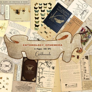 Entomologie-ephemera voor ongewenste tijdschriften. Bijen, vlinders, insecten, spinnen en andere insecten.  Printables, scrapbooking, 6 pagina's, 300 dpi