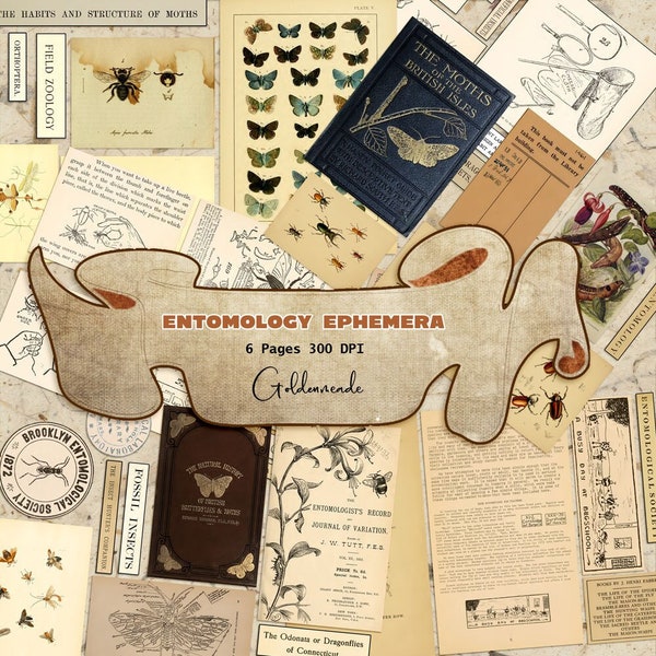 Entomology Ephemera for Junk Journals. Bees, Butterflies, Bugs, Spiders and other insects.  Printables, Scrapbooking, 6 pages 300 DPI
