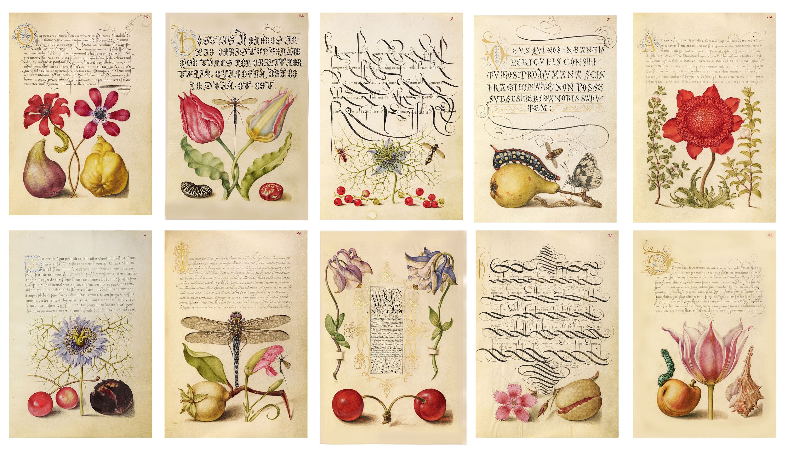PENMANSHIP Printable Digital Download Digikit Calligraphy Vintage Ads ...