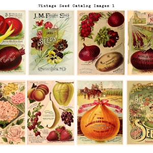 Cartes et images pour journal du catalogue de semences vintage.