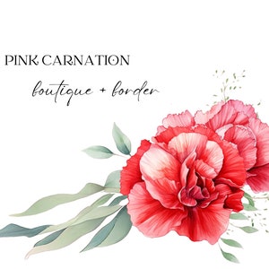 Watercolor Pink Carnation Clipart, Carnation Floral Clipart, Wedding Flowers, Premade Carnation Floral Clipart, Wedding Invitation