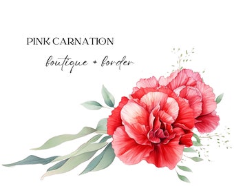 Watercolor Pink Carnation Clipart, Carnation Floral Clipart, Wedding Flowers, Premade Carnation Floral Clipart, Wedding Invitation