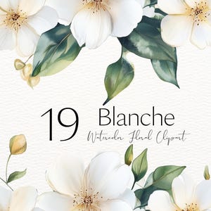 Watercolor White Roses Clipart White Roses PNG White Rose Flowers Bouquets Clipart White Flowers Neutral Floral Clipart White Flowers Wreath