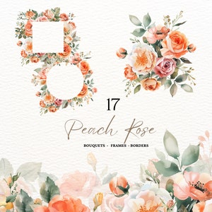 Aquarell Pfirsich Rosen Clipart Pastell Orange Rosen Hochzeitseinladung Orange Blumen Rahmen Blumenstrauß Kranz Frühling Floral Pfirsich Florals PNG