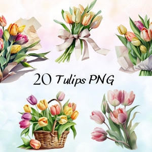 Aquarel tulp clipartbundel, lentetulpen clipart png, lentebloem clipart, bloemen clipart, bruiloft clipart, vintage tulp aquarel