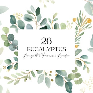 Aquarel eucalyptus bladeren clipart, eucalyptus douche groen clipart, groene bladeren clipart eucalyptus hoekrand clipart groen set