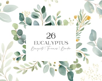 May include: A watercolor illustration of 26 eucalyptus bouquets, frames, and borders. The illustration features green and yellow leaves and flowers on a white background.
