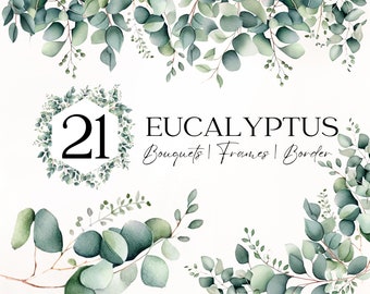 Aquarelle de feuilles d'eucalyptus Clipart, clipart verdure douche Eucalyptus, feuilles vertes Clipart Eucalyptus coin bordure Clipart verdure ensemble