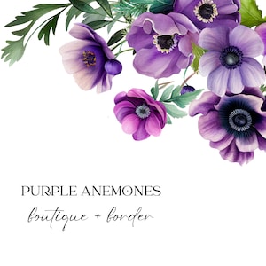 Aquarelle anémones Clipart, fleurs violettes d'anémones, fleurs bouquets Clipart Png, Bundle bouquet d'anémones PNG, fabrication de cartes, scrapbooking