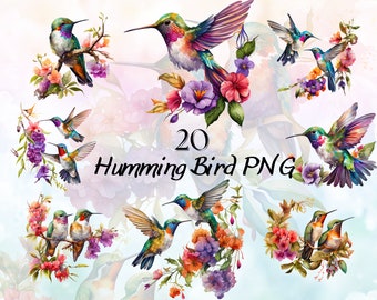 Watercolor Hummingbird Clipart, Hummingbird PNG, Painting Hummingbird Art Prints, Springtime Cute Birds and Flowers