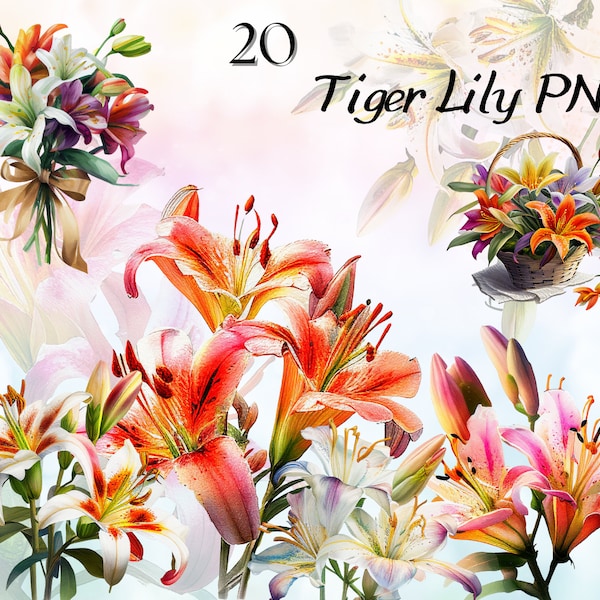 Watercolor Pink Tiger Lily Clipart Bundle, Orange Flower Lily PNG, Lilies Clipart, Wedding design, Orange Lilies PNG