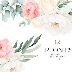 Clipart pivoines aquarelle, Clipart aquarelle florale, feuilles d'eucalyptus, Eucalyptus douche verdure Clipart, Clipart floral pivoine premade