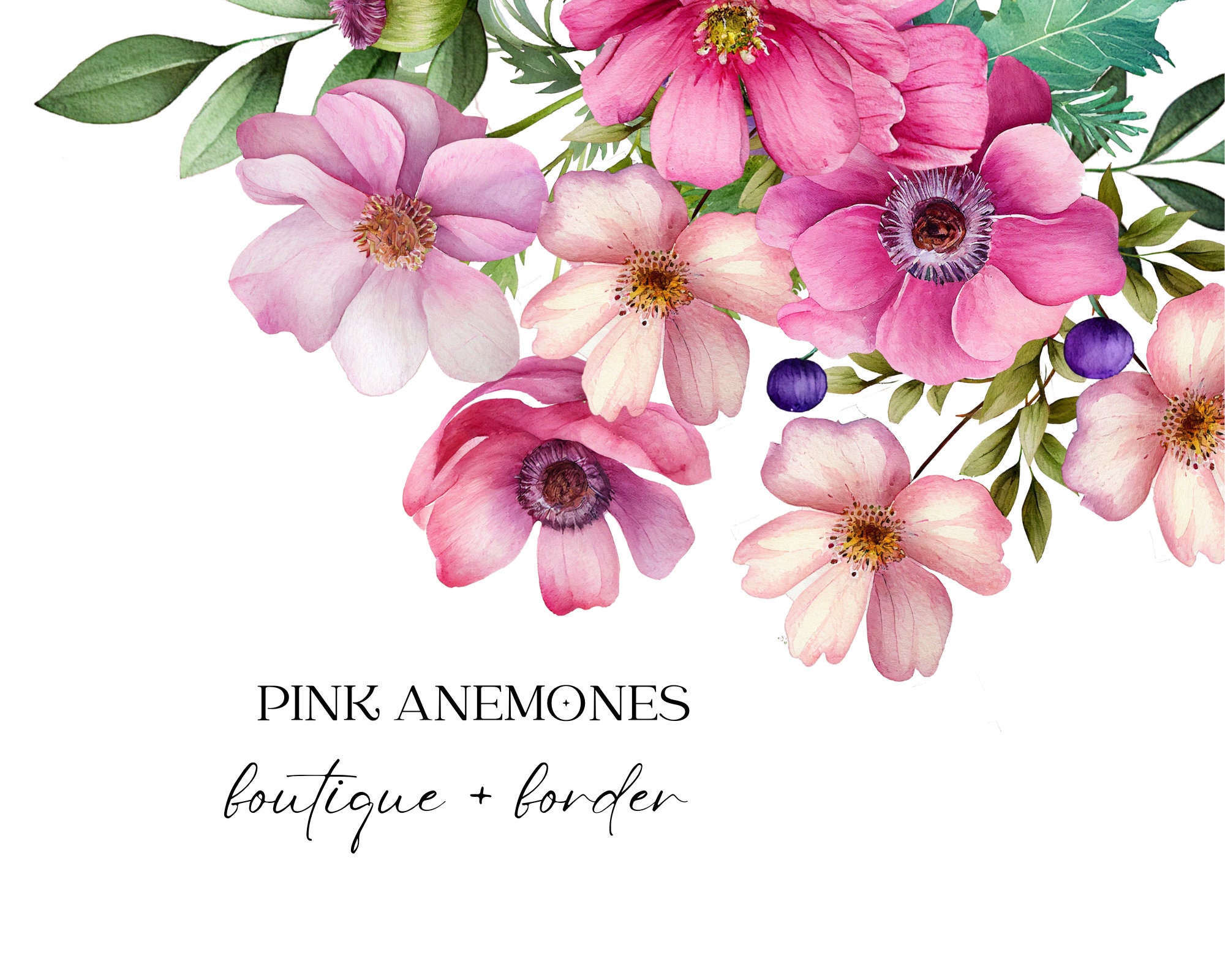 Watercolor Anemones Clipart, Pink Anemones Flowers, Flowers Bouquets Clipart Png,  Anemone Bouquet Bundle PNG, Card making, Scrapbooking